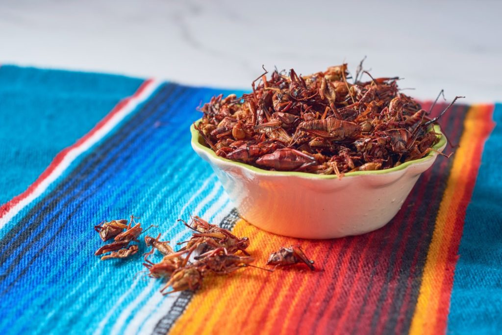 Chapulines or Grasshoppers, traditional snack from Oaxaca Mexico