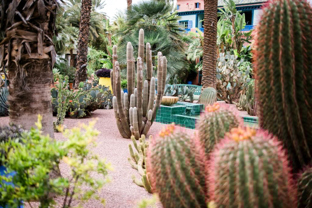 15 April 2025, Marrakech, Morocco