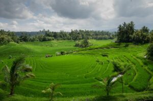 clouds cloudy agriculture farm