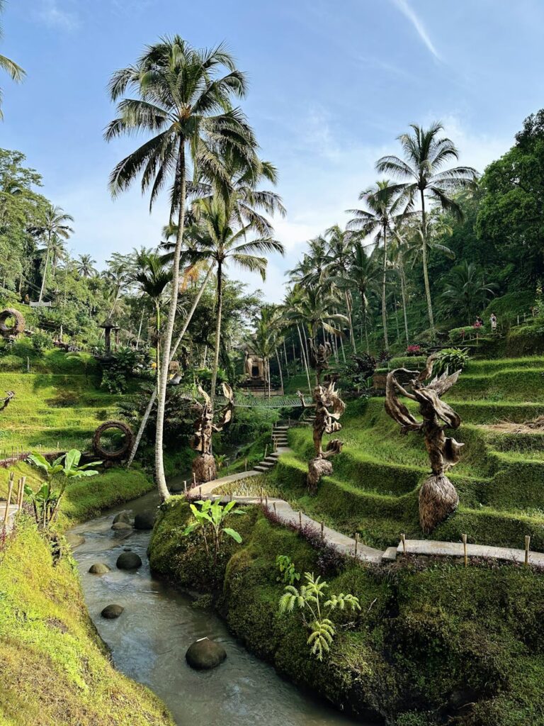 lush tropical bali rice terrace with palm trees