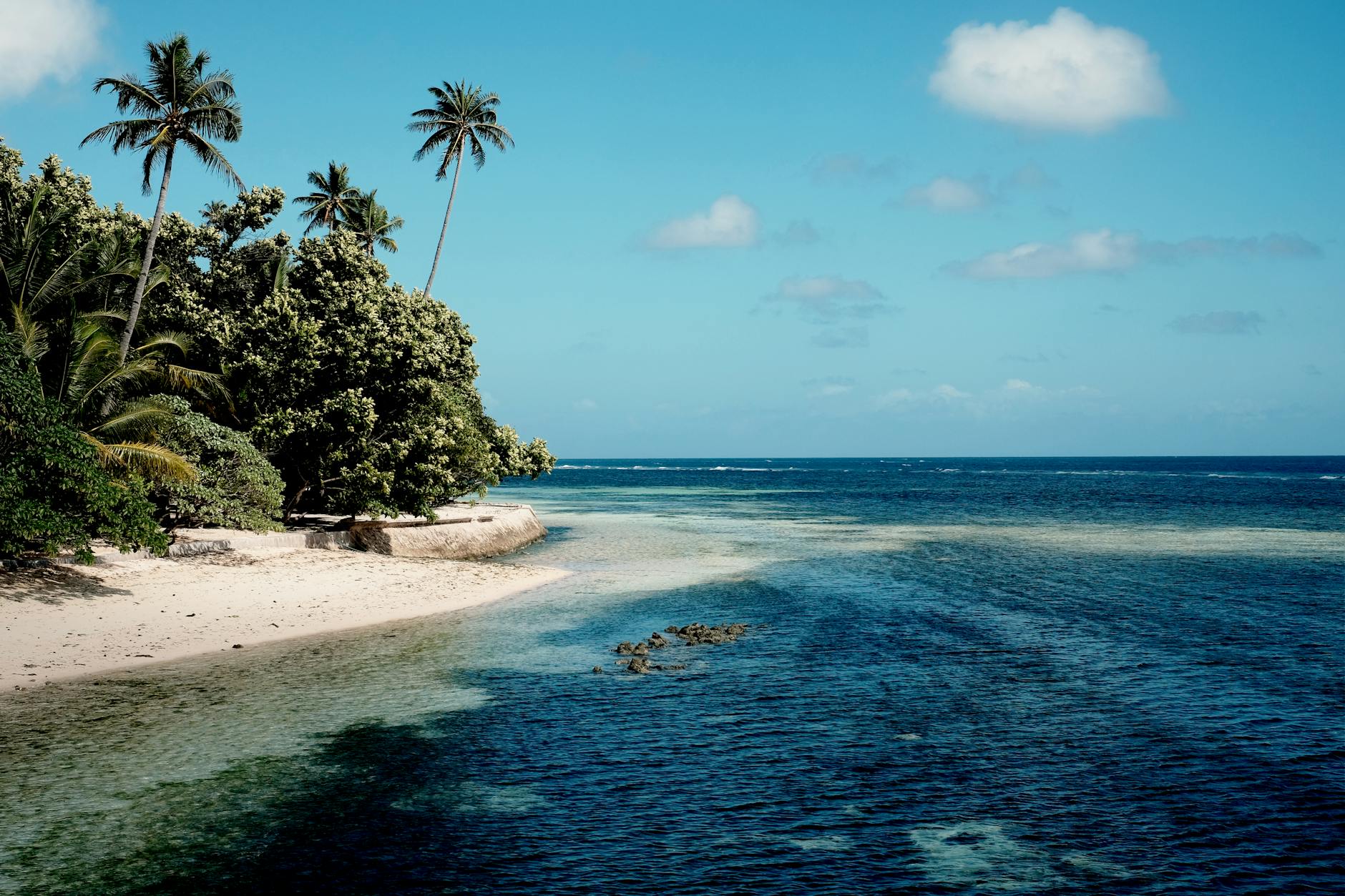 green palm trees on white sand beach surrounded by ocean